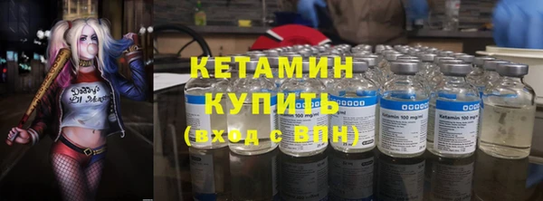 прущие грибы Богданович