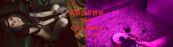 прущие грибы Богданович
