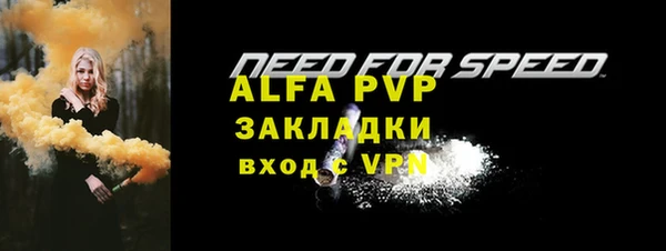 прущие грибы Богданович