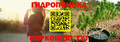 эйфоретик Дубна