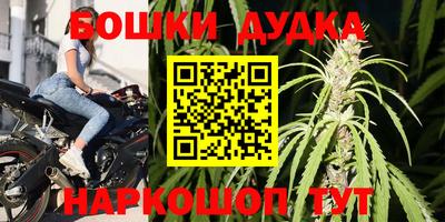гидра Донской