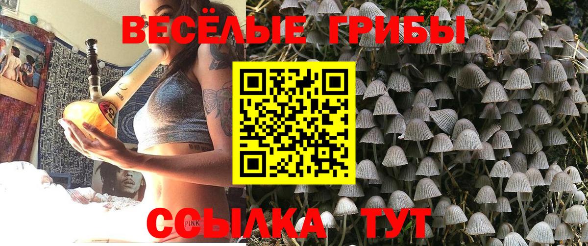 Галлюциногенные грибы Psilocybine cubensis  Вход с VPN  Реж 